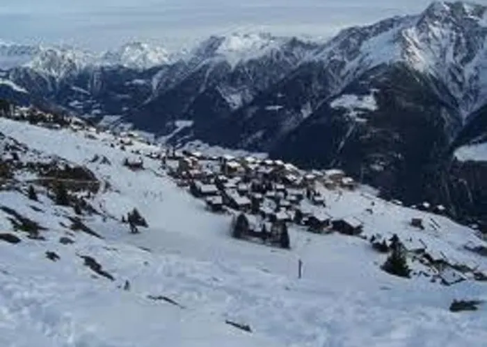 Marder Riederalp
