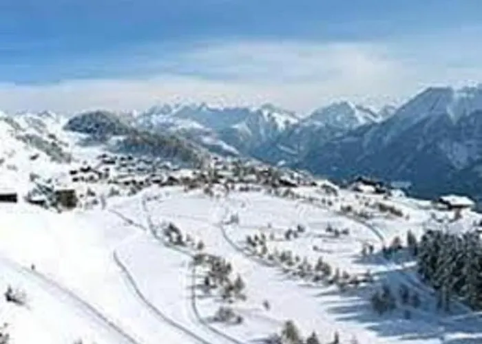 Marder Riederalp