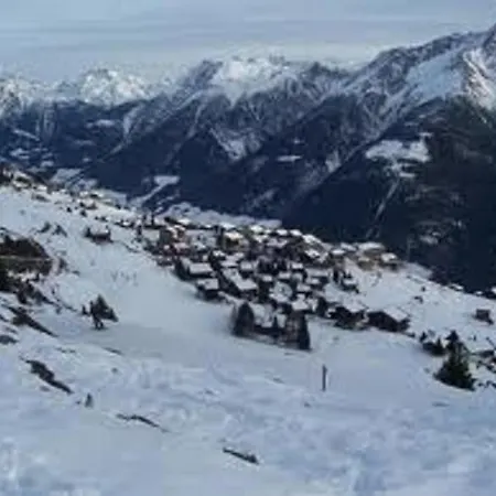 Marder Riederalp